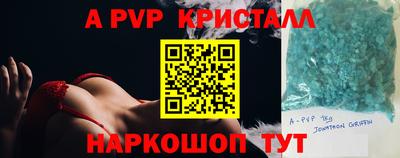 шишки Будённовск