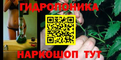 шишки Будённовск