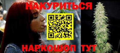 шишки Будённовск