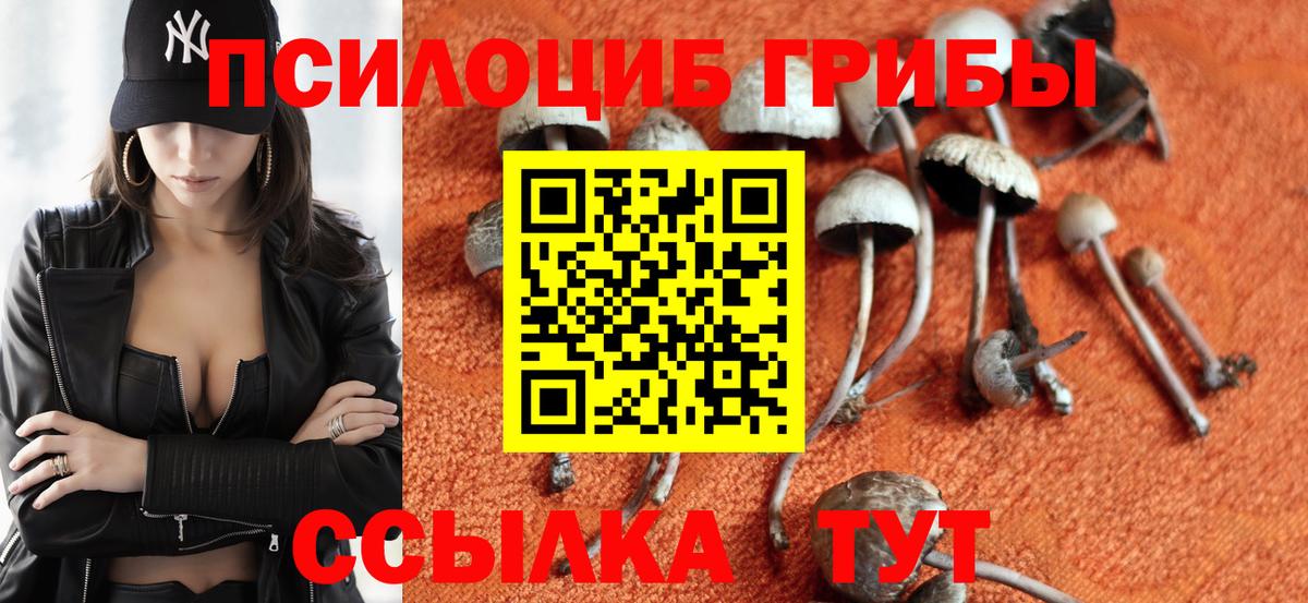Псилоцибиновые грибы мицелий  Вход с VPN  Псилоцибиновые грибы мухоморы  Саратов 