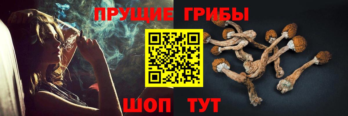 Псилоцибиновые грибы Magic Shrooms Саратов